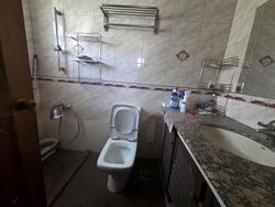 Jalan Tupai (D10), Semi-Detached #556791821